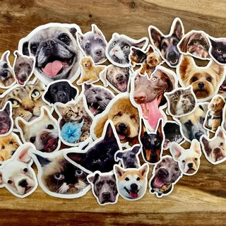 Custom Pet Stickers Custom Pet Stickers